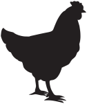 85972-chicken-silhouette-hen-rooster-free-clipart-hd copy