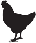 85972-chicken-silhouette-hen-rooster-free-clipart-hd